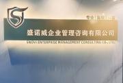 盛諾威（天津）企業(yè)管理咨詢(xún)有限公司
